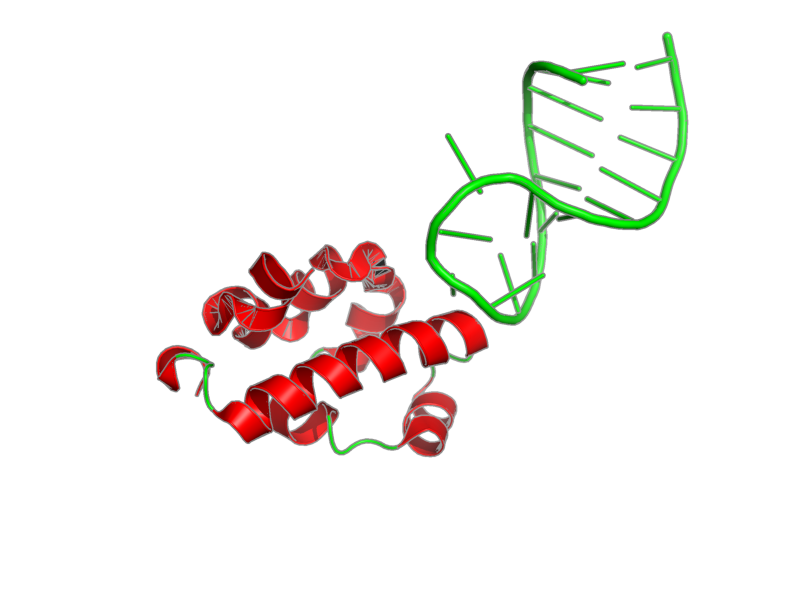 Ribbon image for 2b6g