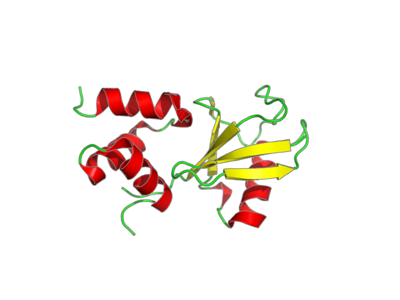 Ribbon image for 2den