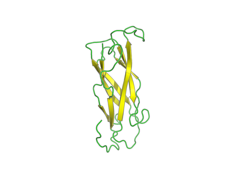 Ribbon image for 2fws