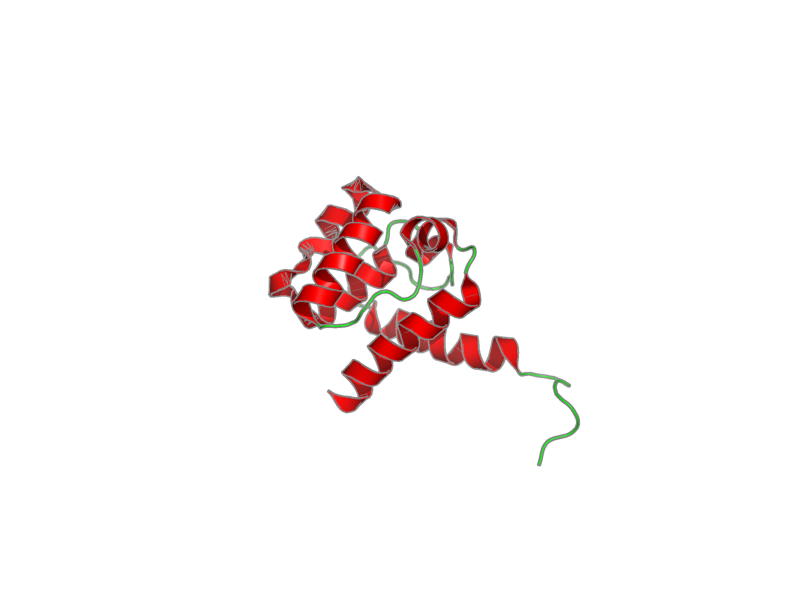 Ribbon image for 2dk9