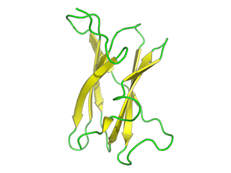 Ribbon image for 2djm