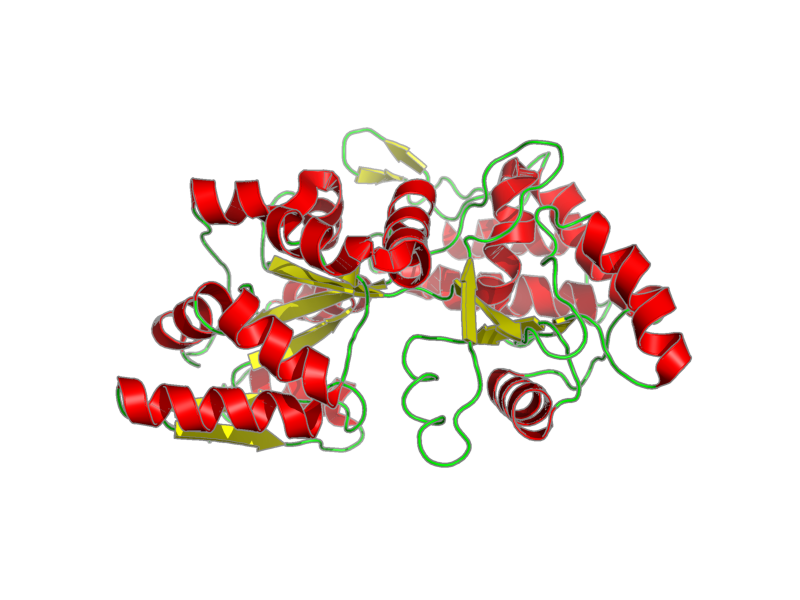 Ribbon image for 2h25