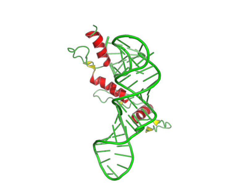 Ribbon image for 2hgh