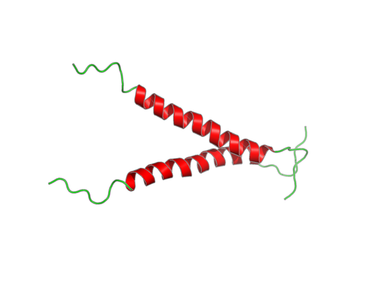 Ribbon image for 2lcx