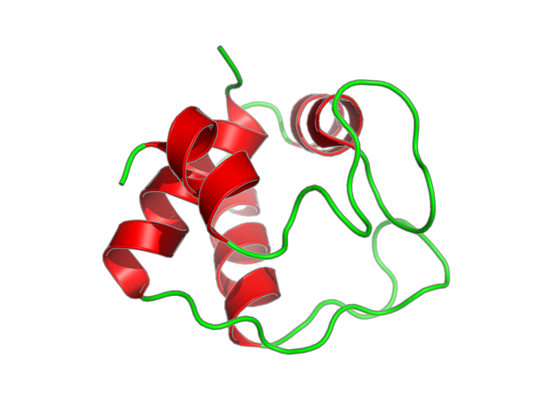 Ribbon image for 2i8f