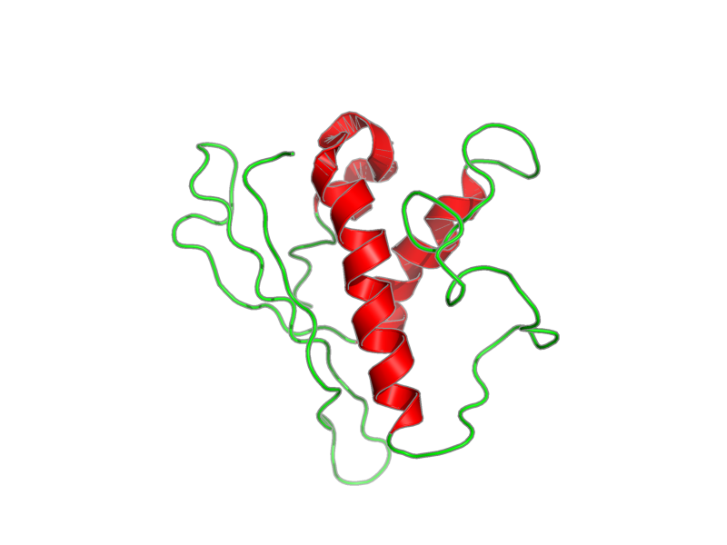 Ribbon image for 2i4k