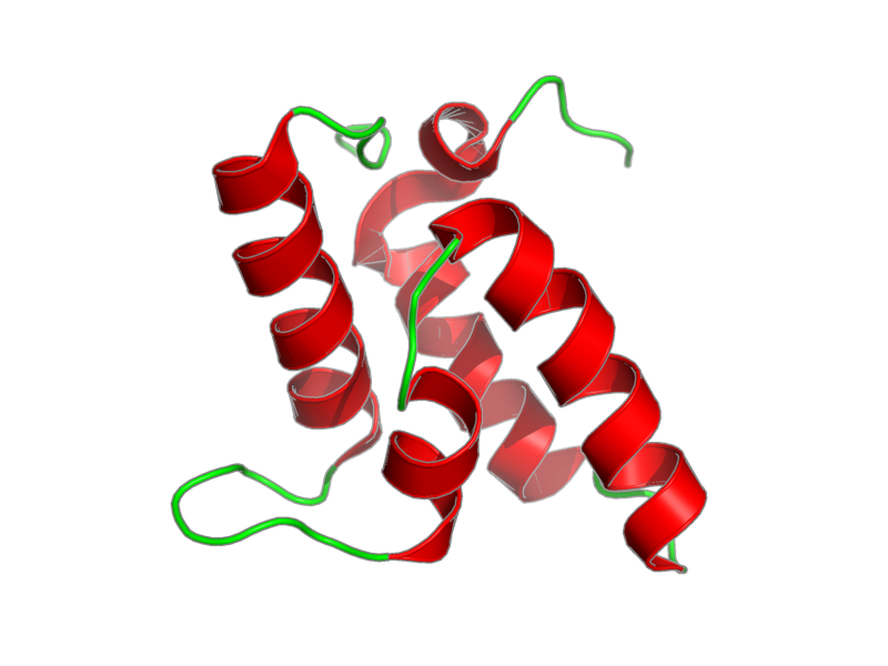 Ribbon image for 2no8