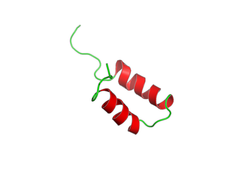 Ribbon image for 2p81