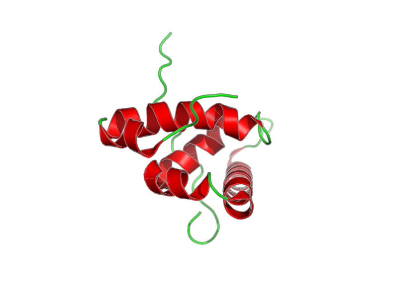 Ribbon image for 2rqg