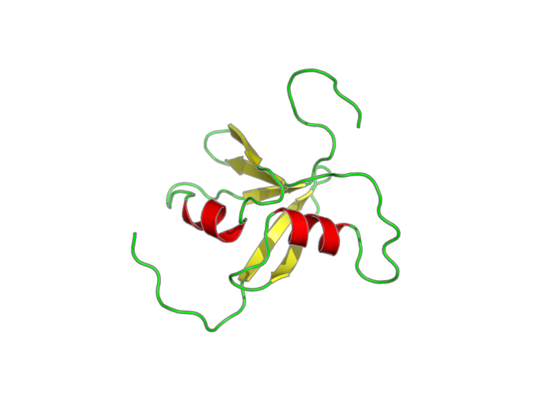Ribbon image for 1wgr