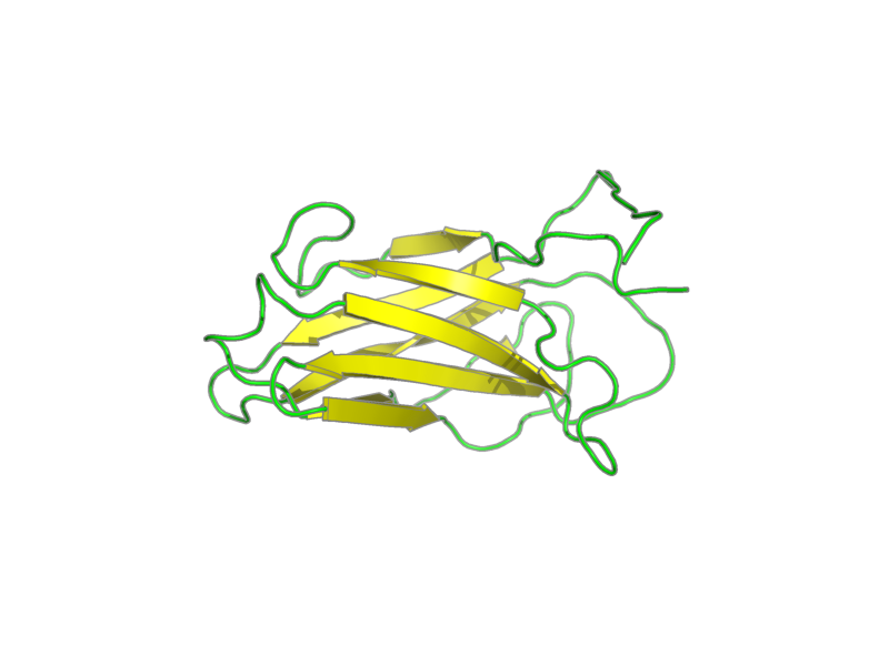 Ribbon image for 1wfm