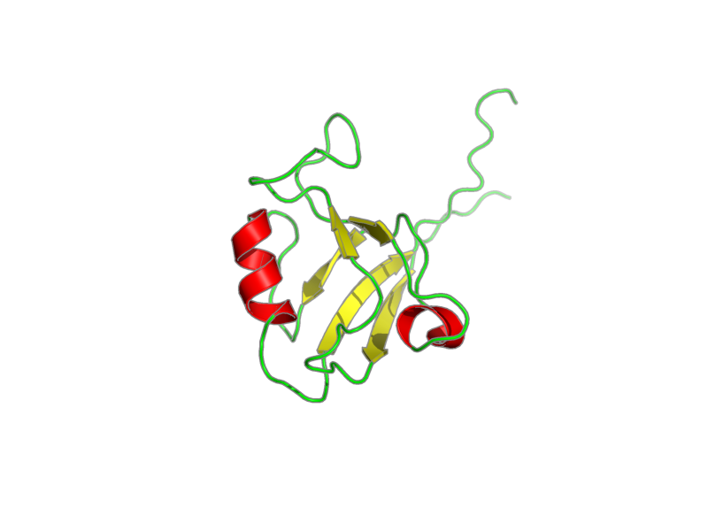 Ribbon image for 1wha