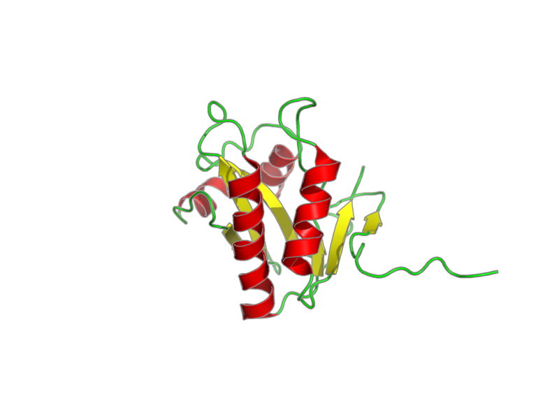 Ribbon image for 2eee