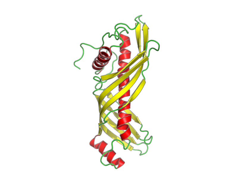 Ribbon image for 2rqf