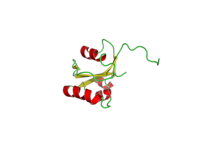 Ribbon image for 2rqs