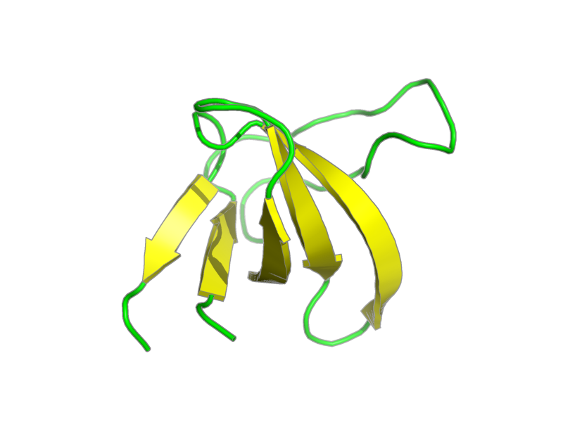 Ribbon image for 2rqt