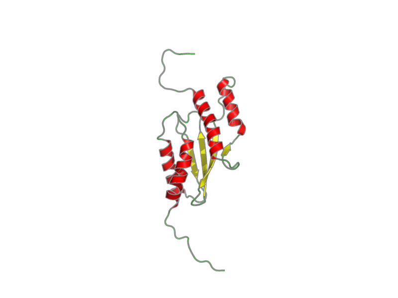Ribbon image for 2daw