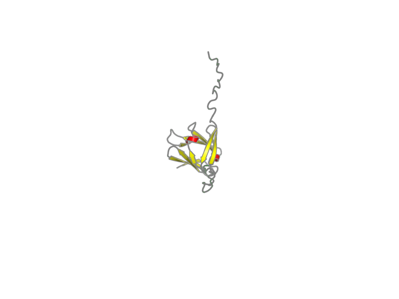 Ribbon image for 2jra