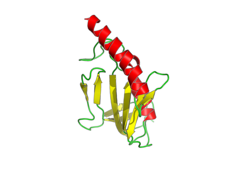 Ribbon image for 2vcd