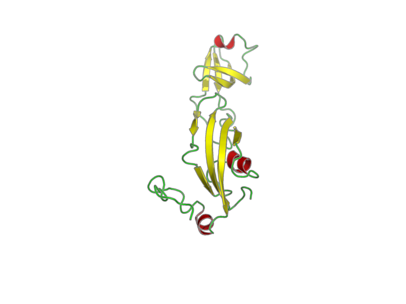 Ribbon image for 2k8i