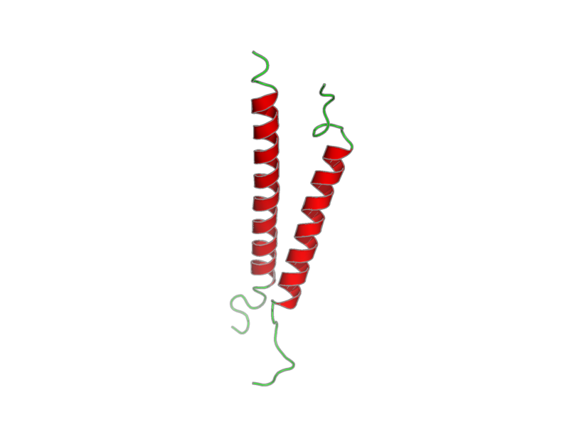 Ribbon image for 2k9j
