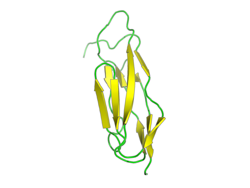 Ribbon image for 2l04