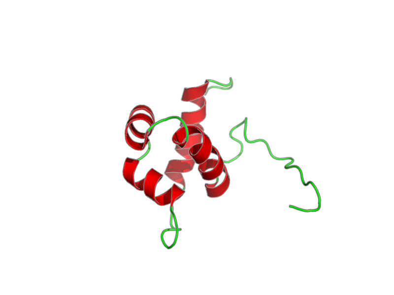 Ribbon image for 2l1p