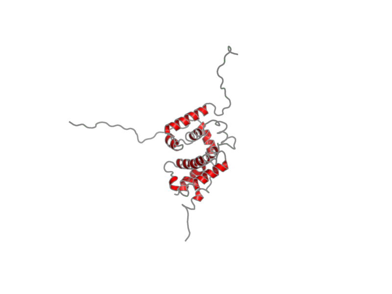 Ribbon image for 2lfw