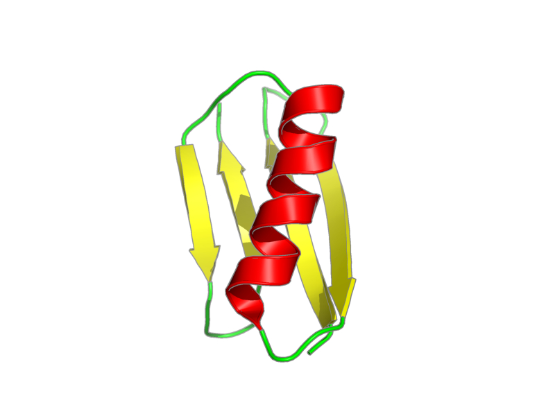 Ribbon image for 2lhe