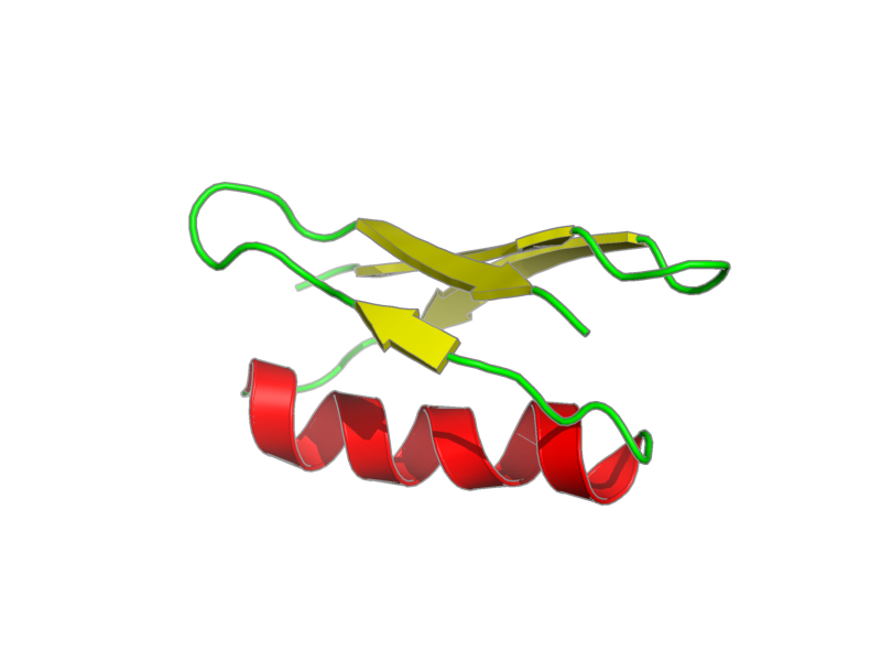Ribbon image for 2lum
