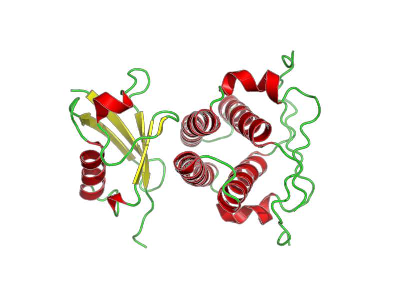 Ribbon image for 2lxc