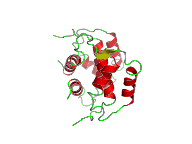Ribbon image for 1k2h