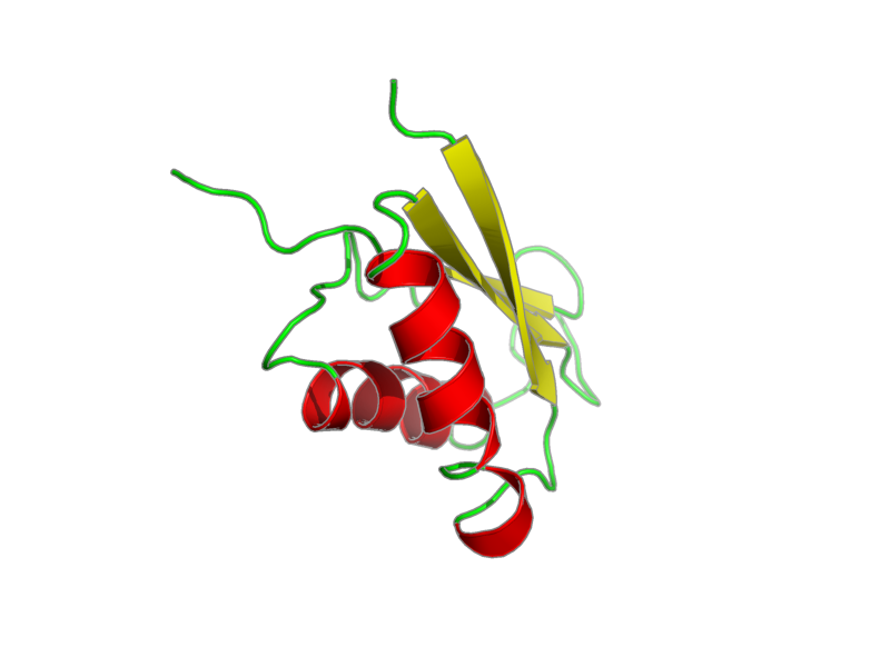 Ribbon image for 2ife