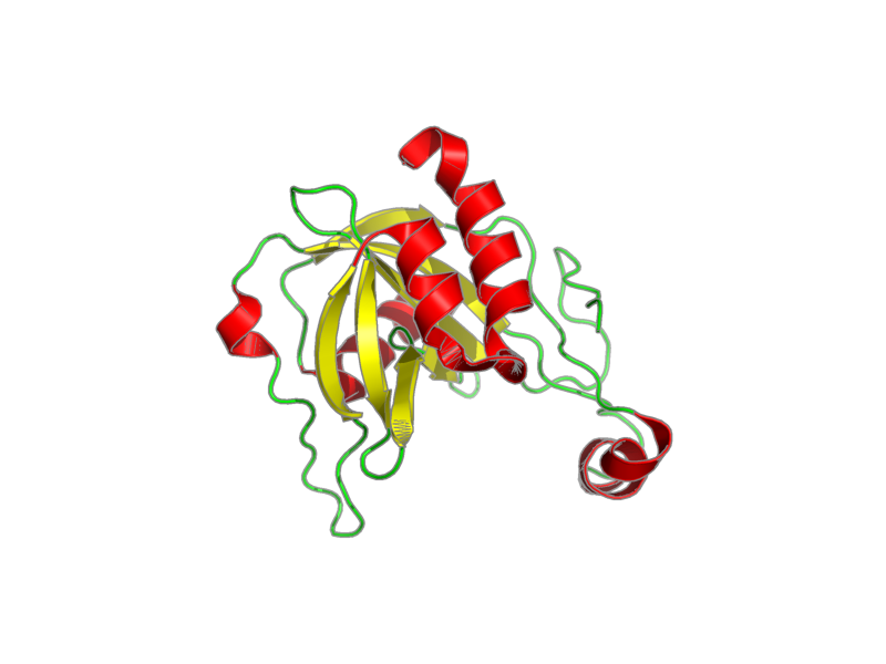 Ribbon image for 1f3y