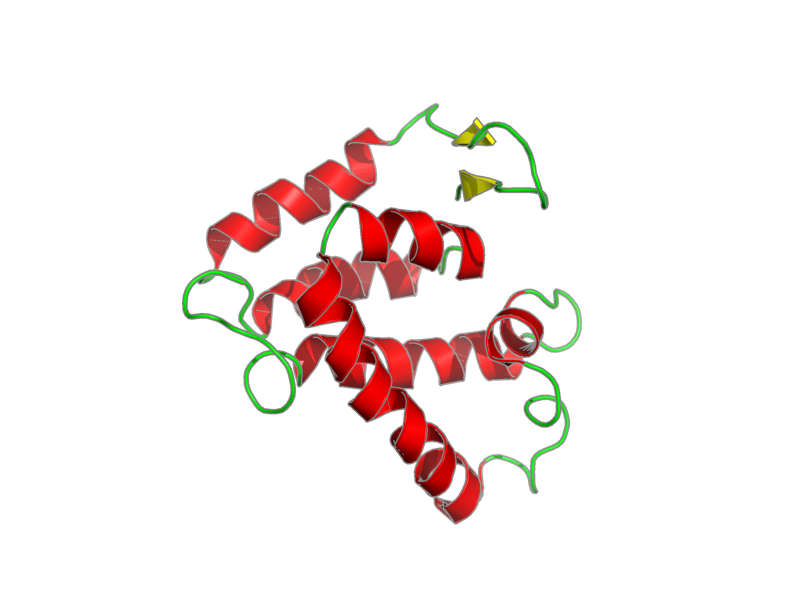 Ribbon image for 1g03