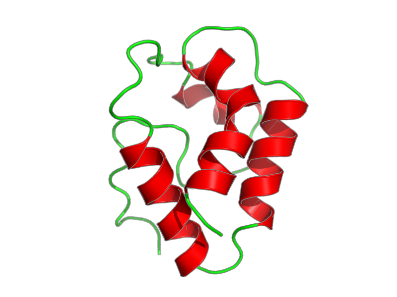 Ribbon image for 1bv2