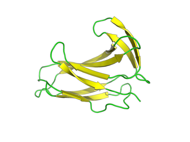 Ribbon image for 1hzl