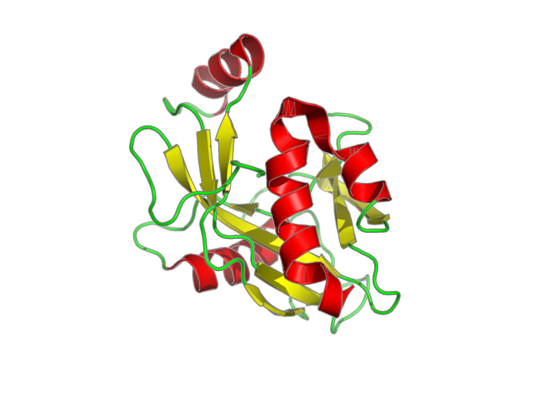 Ribbon image for 1jkn