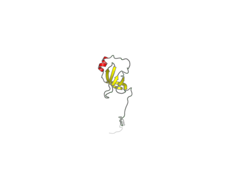 Ribbon image for 1jjg