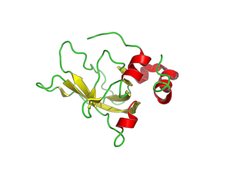 Ribbon image for 1d2b