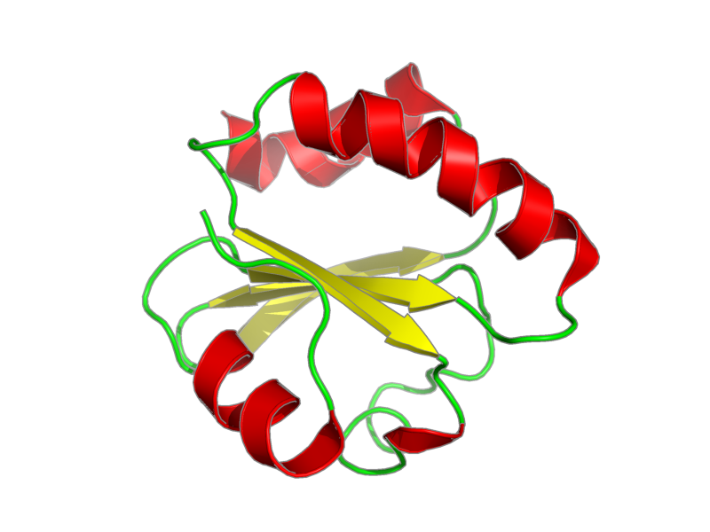 Ribbon image for 1rqm
