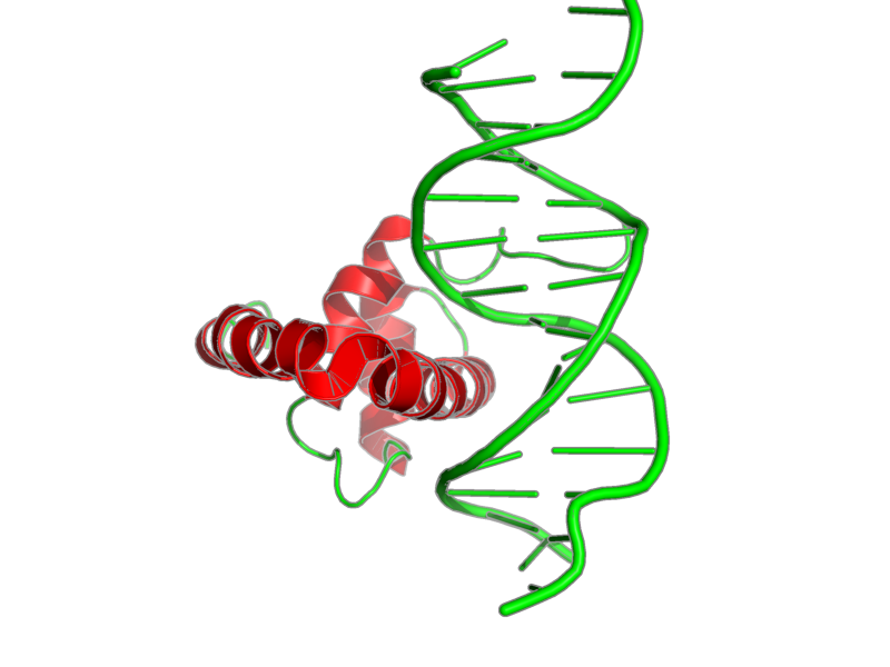 Ribbon image for 1lfu