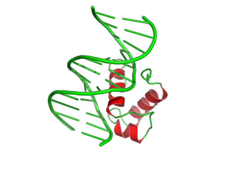 Ribbon image for 1iv6