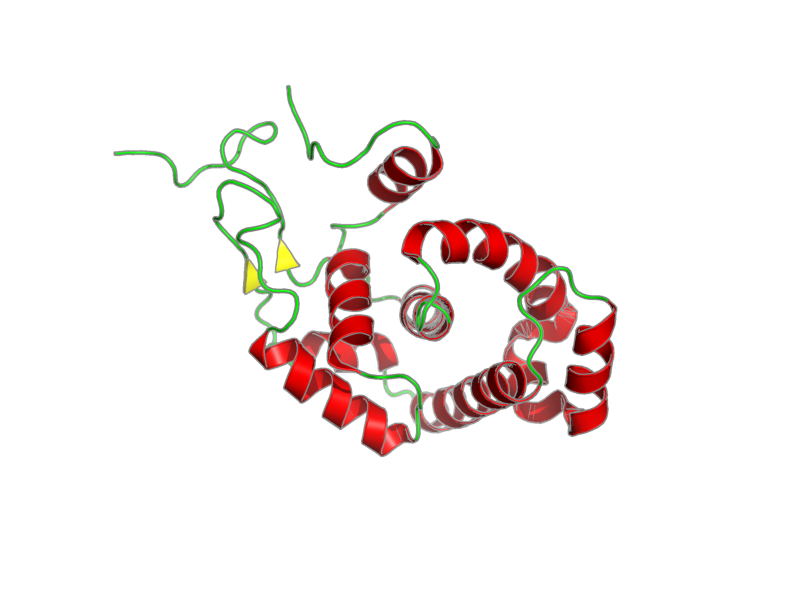 Ribbon image for 1lmz