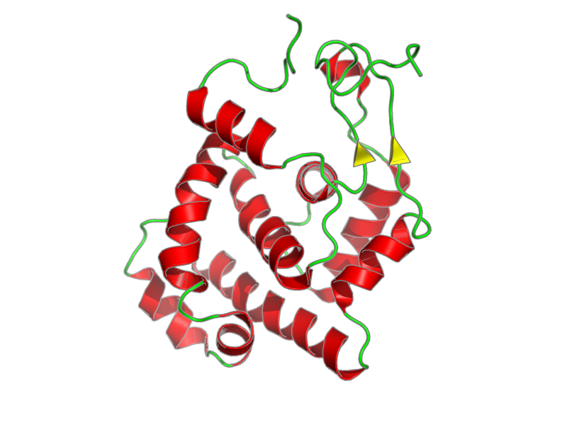Ribbon image for 1nku