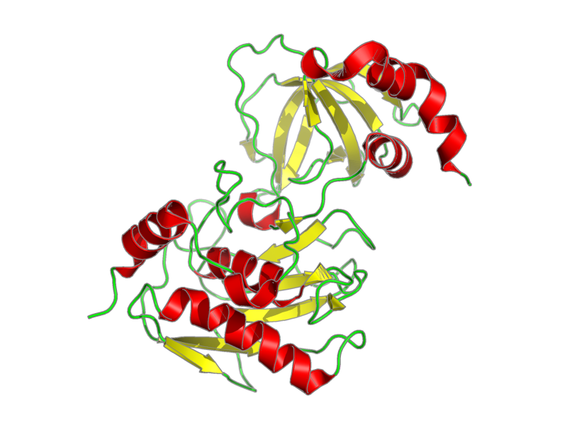 Ribbon image for 1oo9