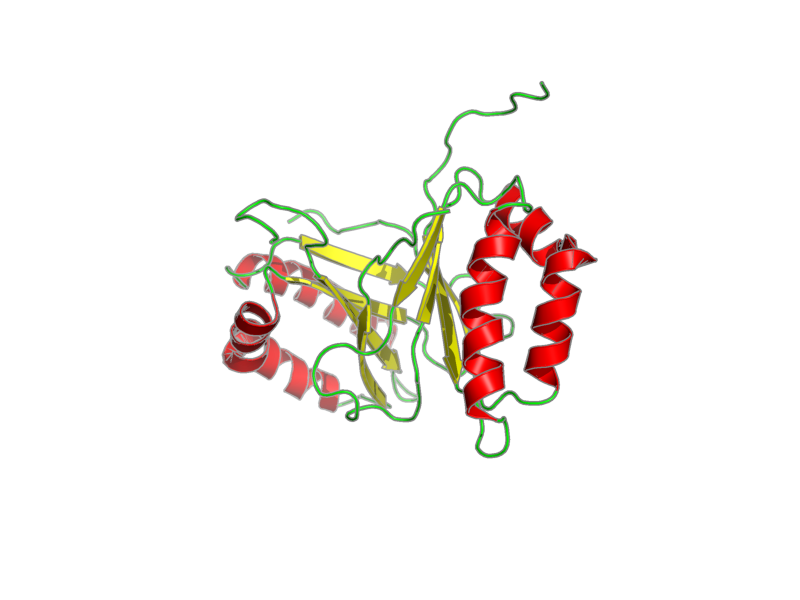 Ribbon image for 1q53