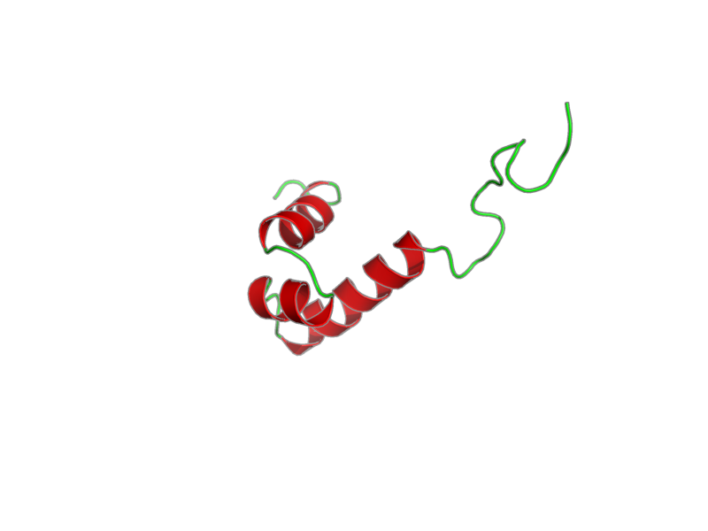 Ribbon image for 1umq