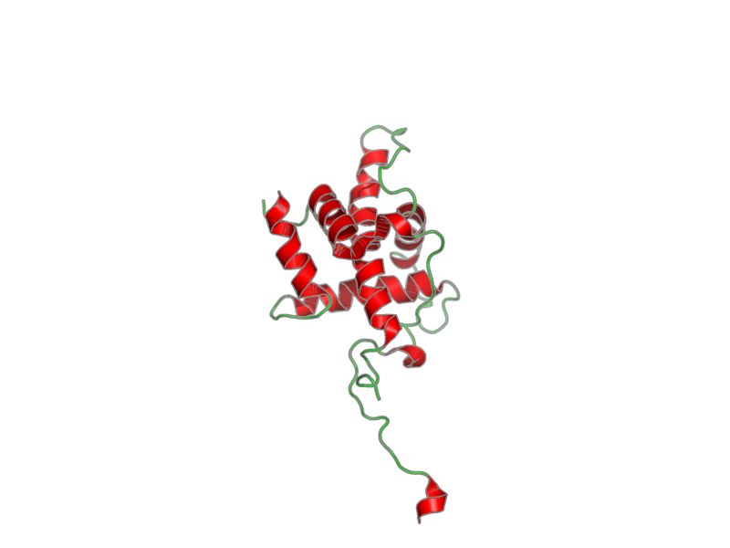 Ribbon image for 1r8u