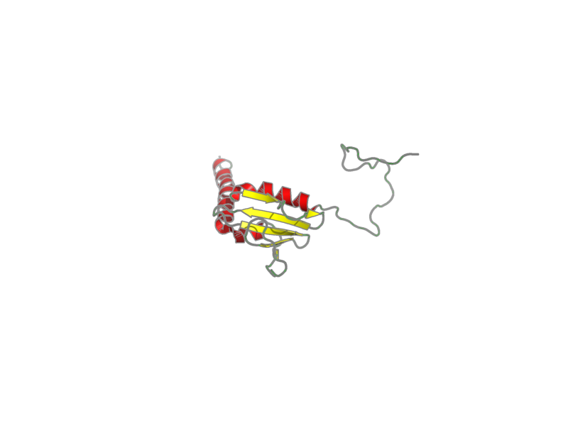 Ribbon image for 1sgo